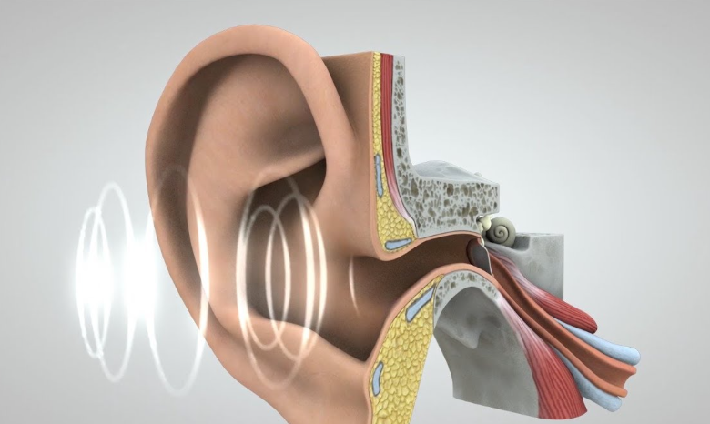 How Sound Waves Travel: The Science Behind What We Hear