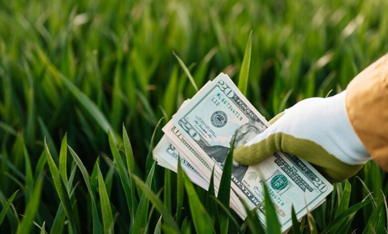 sustainable financial systems development