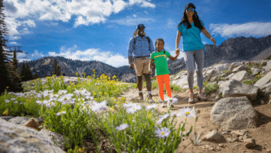 Adventure Awaits: The Best Parks to Visit in Utah