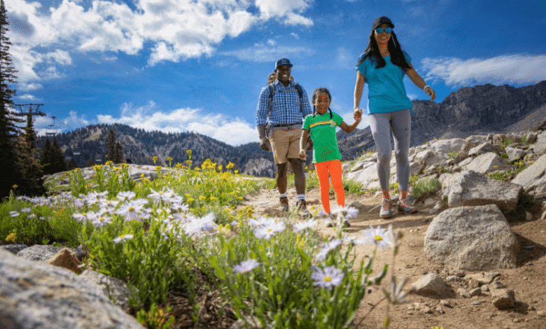 Adventure Awaits: The Best Parks to Visit in Utah