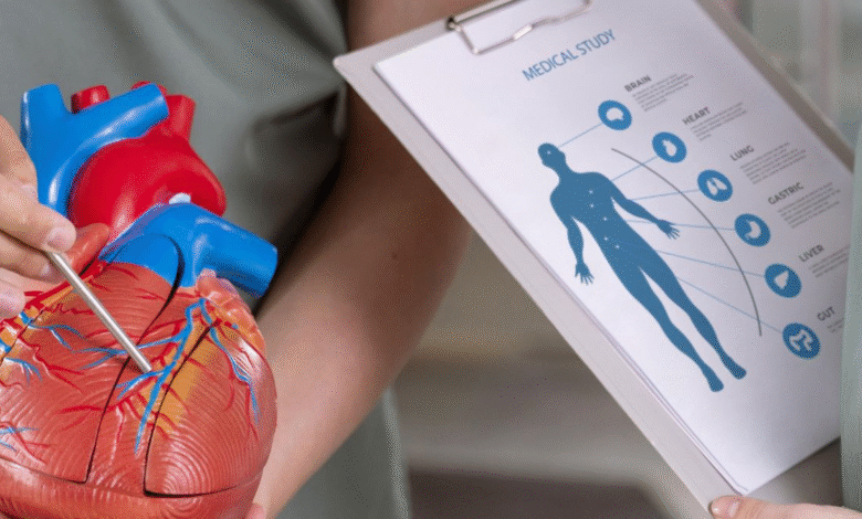 How to Lower Your Heart Disease Risk, According to Doctors