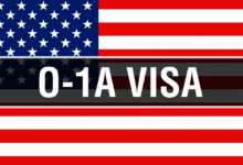 O-1 Visa Applicant