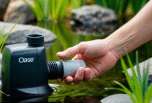 Choosing the Best Oase Pump for Strong Flow and Energy Efficiency