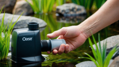 Choosing the Best Oase Pump for Strong Flow and Energy Efficiency